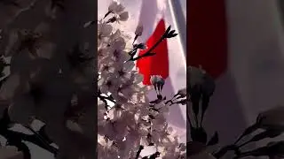Hanami Sakura Blossoms 🌸🇯🇵 2024: Beatiful Japan Travel