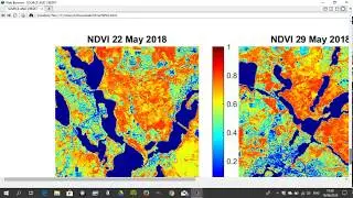 NDVI Matlab (Normalized Difference Vegetation Index)