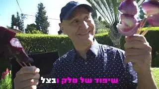 שיר המנגל הטבעוני - יאיר ניצני