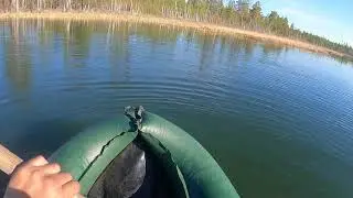Охота на турпана в Горном улусе.