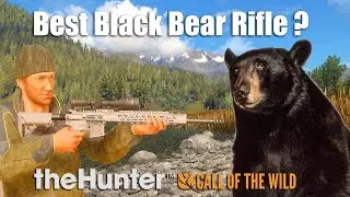Best Black Bear Rifle ? - theHunter Call Of The Wild