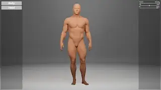 Dev log: Building a character customiser in UE with Daz genesis 9 - Part 3