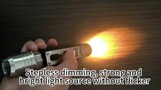 Jade double-head identification flashlight
