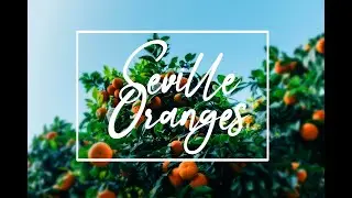 How to Place Text on Image in Photoshop CS6 | Adding Text to Image in Photoshop