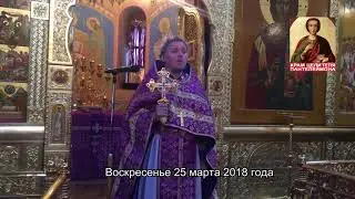 Воскресная проповедь протоиерея Вадима_25 марта 2018