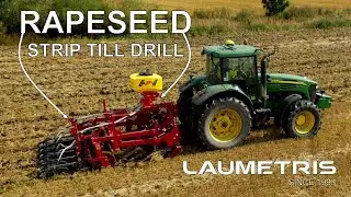 RSL-3 Winter Strip-Till Rapeseed/Oilseed sowing & growth results 2020-2021, Laumetris