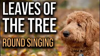We are the Leaves of the Tree (Round Singing)