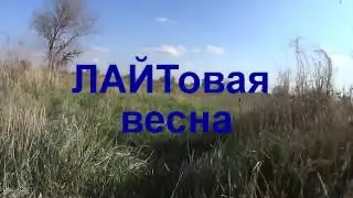 ЛАЙТовая весна