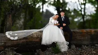 WILIANGLIU & ASHULI