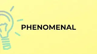 What is the meaning of the word PHENOMENAL?