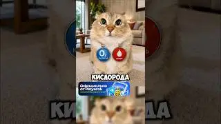 Коротко по делу № 25 