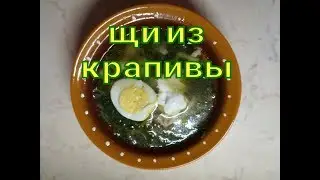 Nettle and sorrel soup with chicken broth HD