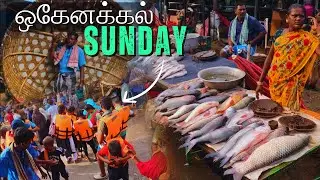 ✅Hogenakkal Sunday🌤️ Fish Market 🐠🤳Vlog | Boating Update😰⁉️ #fishmarket #hogenakkalfalls #travel