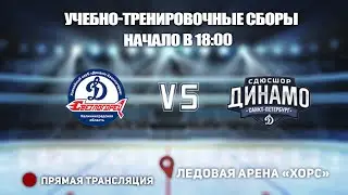 🏆Учебно-тренировочные сборы 2013.🥅 ДИНАМО СВЕТЛОГОРЕЦ  🆚 ДИНАМО ЮНИОР⏰НАЧАЛО В 