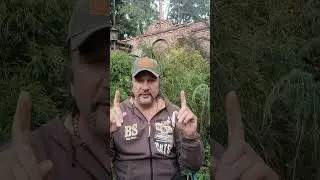 Почему Голландия, богаче Латвии?