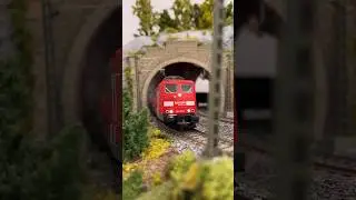 Güterzug 🇨🇭⛰️🇩🇪 in H0 Modelleisenbahn 