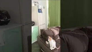 кто с нами? 100000$ наша цель 