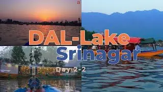 Srinagar Trip - Day  2--3 ,   #kashmir #tour #dallake #jammukashmir