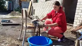 Первый улетел.Вес гуся.