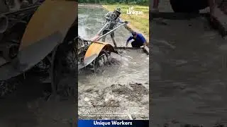 Rice paddy repair: a farming task