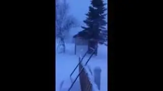 Blizzard  feb 2013