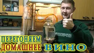 Перегоняем вино на спирт | Домашняя чача | Дегустируем чачу и кальвадос