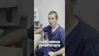 Попугай корелла сломал крыло 