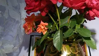 РАЗГОВОР ПО ДУШАМ...