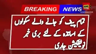 School Education Department Punjab Notification About PEF Teachers - Home Tutor