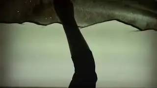 Песочное Шоу