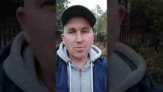 4 декабря 2020 г.