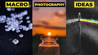 Get Creative with Macro Photography : 5 Unusual Ideas
