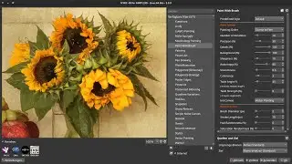 GMIC-QT Plug-In: Paint With Brush!