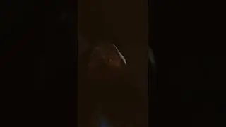 28 ноября 2023 г.