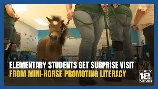 MINI-HORSE gives lesson on literacy