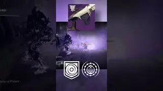 This AutoRifle makes VOID Builds INSANE! (FARM IT NOW)