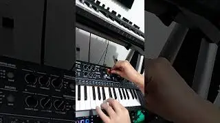 The Minifreak is a powerhouse!