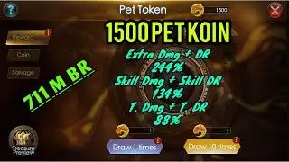 Pet Token : 1500 Coin | boost BR & Rare