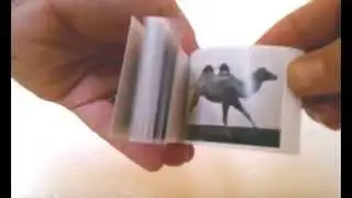Flip books Eadweard Muybridge 1887 flipbook