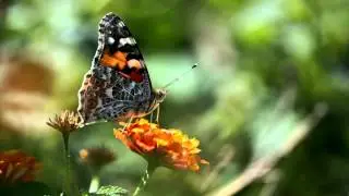 test3b