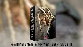 Lil Durk Sample & MIDI Pack | 1.19 GB of Files | Sample Playthrough