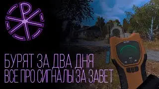 БЫСТРЫЙ ГАЙД НА БУРЯТ ЗА ЗАВЕТ | STALCRAFT X