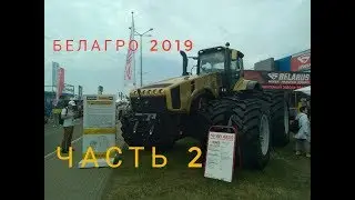Выставка 