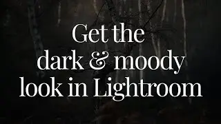 How to get a dark and moody look for your photos using Lightroom