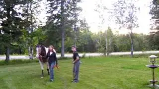 Abby walking Tate part 3