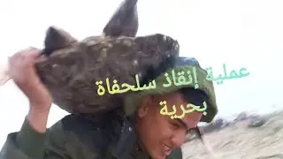تم إنقاذ سلحفاة بحريه وإعادتها الي المياه بجهود #حماده_مكس