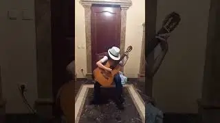 Ф.Карулли "Сонатина"