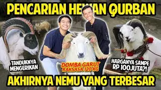 PENCARIAN HEWAN QURBAN RAKSASA! AKHIRNYA NEMU DOMBA TERBESAR YANG PERNAH DILIHAT! 120KG RP100JUTA?!