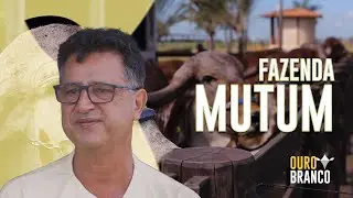 FAZENDA MUTUM - OURO BRANCO #05