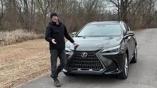 Luxury Hybrids are on the Rise this Year!